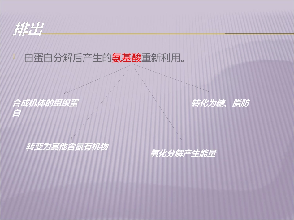 白蛋白及临床运用_第11页