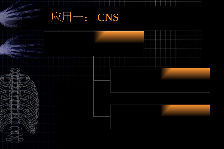 MRI对胎儿颅脑检查的作用和临床意义ppt课件_第13页