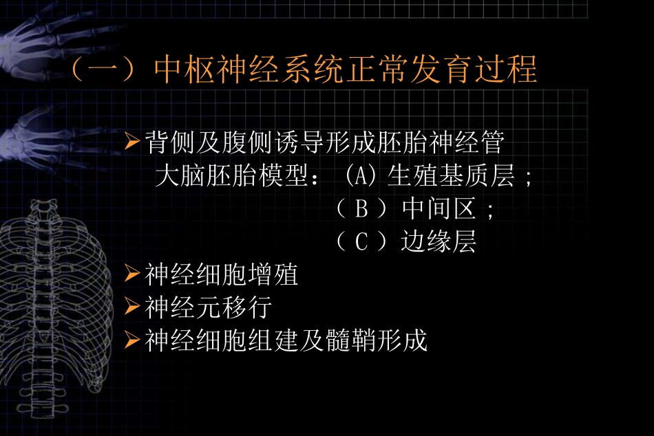 MRI对胎儿颅脑检查的作用和临床意义ppt课件_第14页