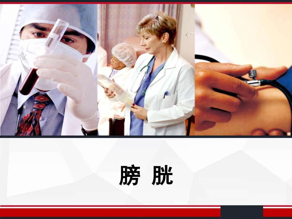 膀胱解剖及临床 PPT_第1页
