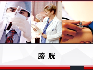 膀胱解剖及临床 PPT