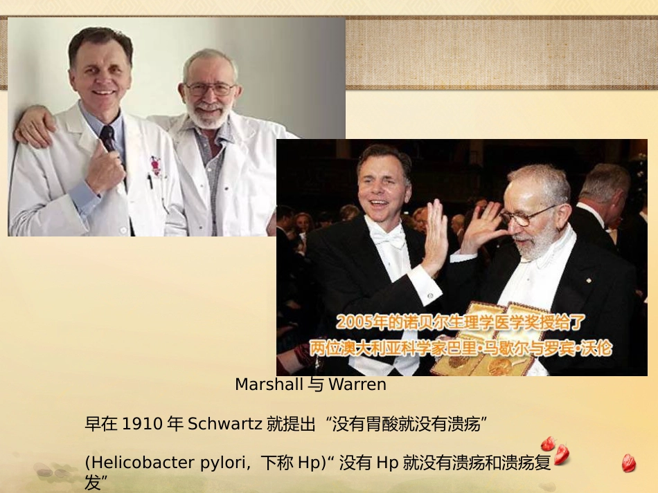 半夏泻心汤的临床应用_第13页