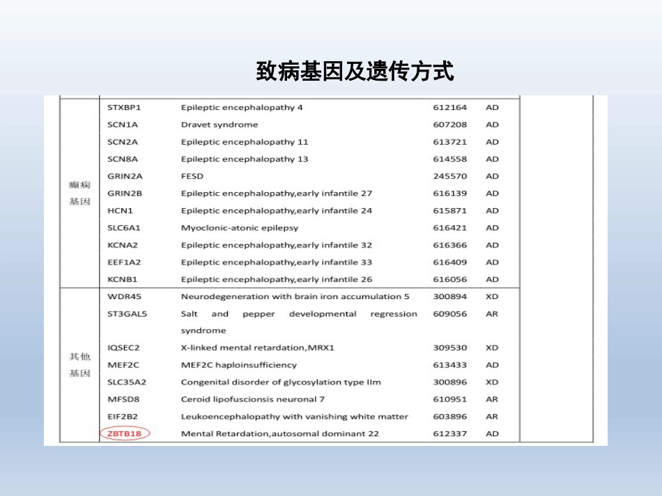 Rett综合征临床与分子诊断_第13页
