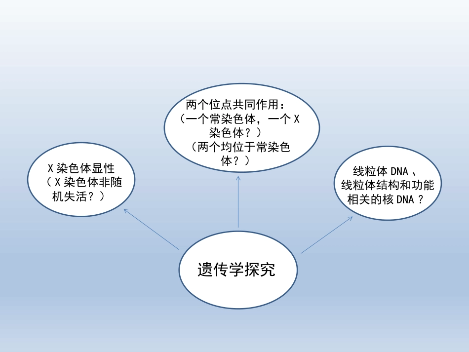 Rett综合征临床与分子诊断_第4页