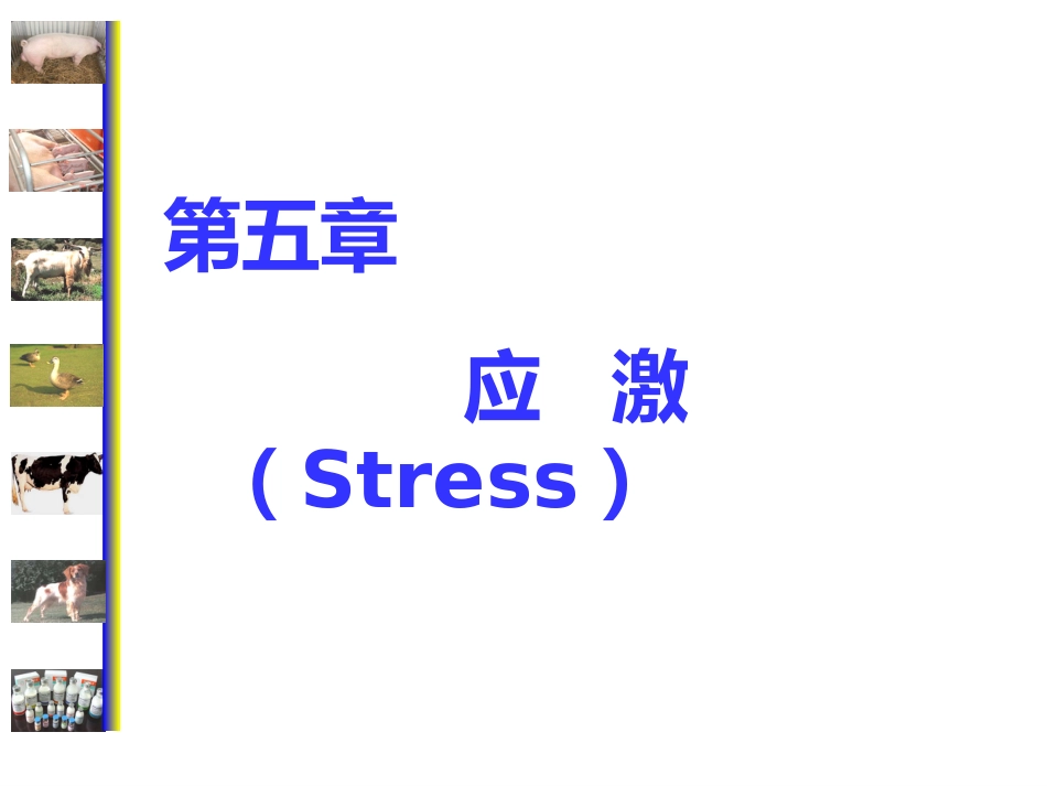 动物病理学 应激[专业相关]_第1页