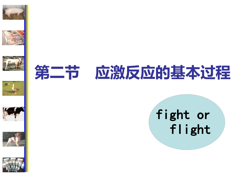 动物病理学 应激[专业相关]_第10页