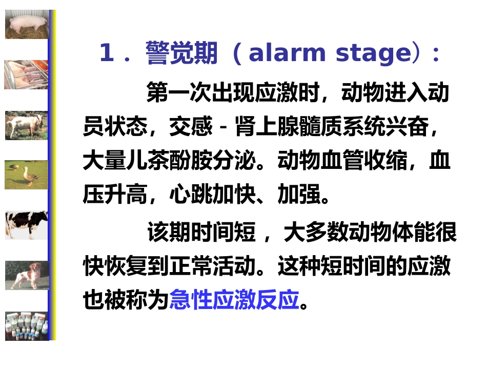 动物病理学 应激[专业相关]_第12页