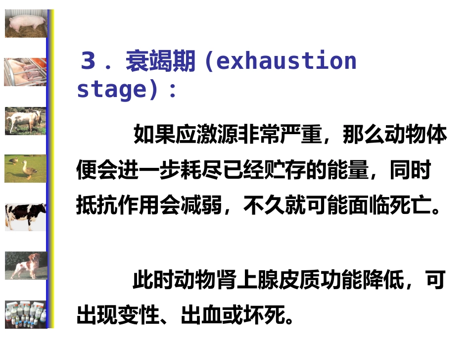 动物病理学 应激[专业相关]_第14页