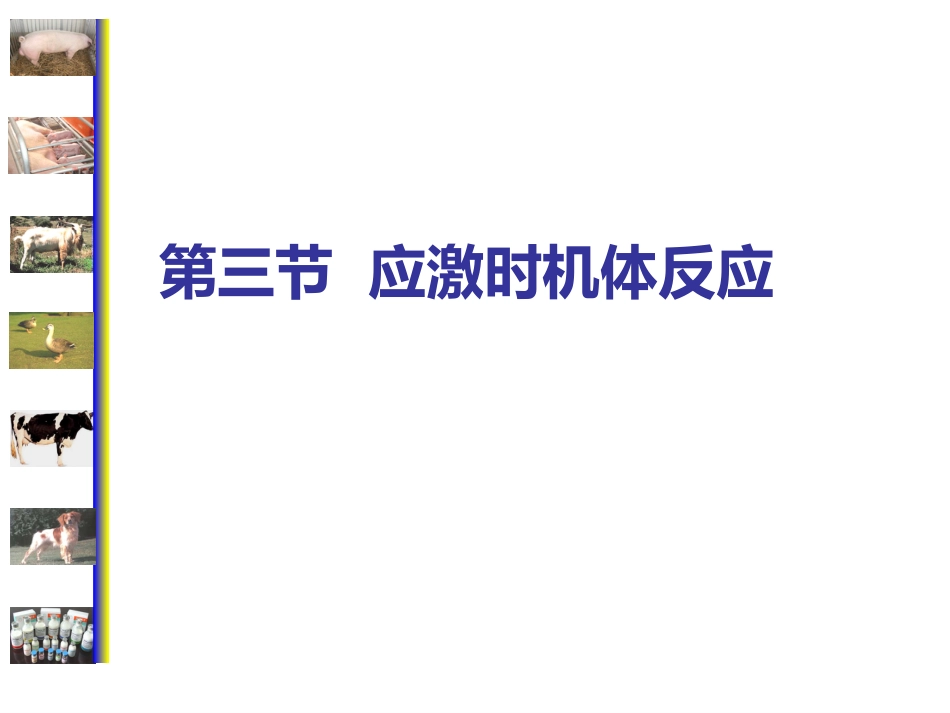 动物病理学 应激[专业相关]_第15页
