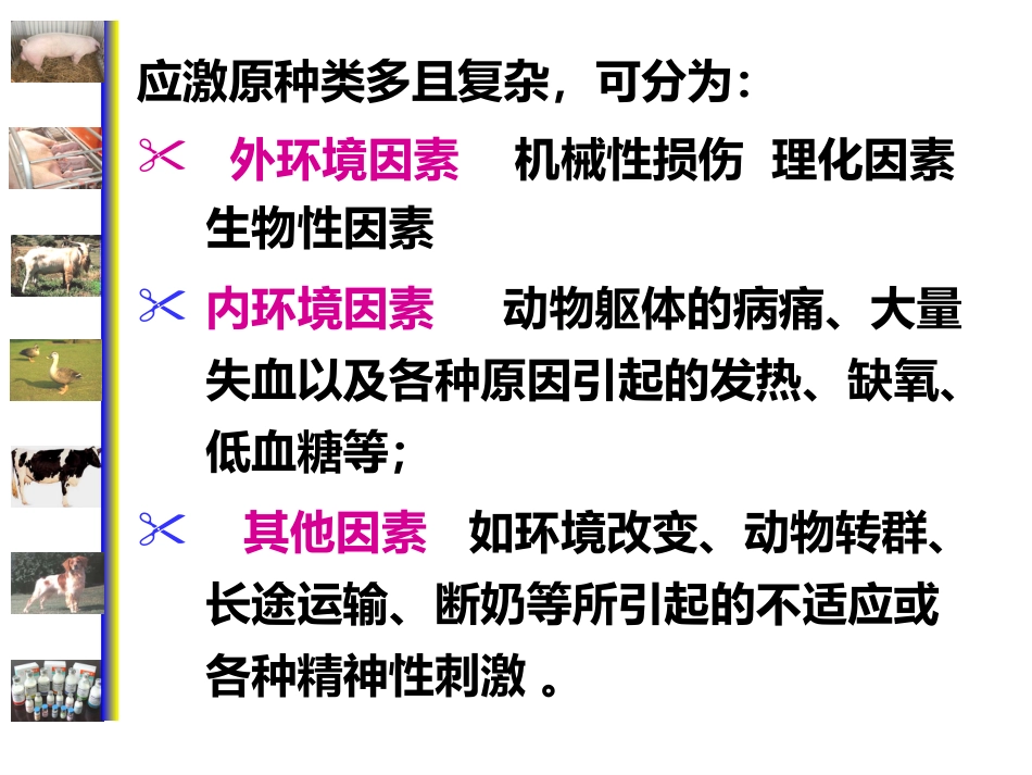 动物病理学 应激[专业相关]_第6页