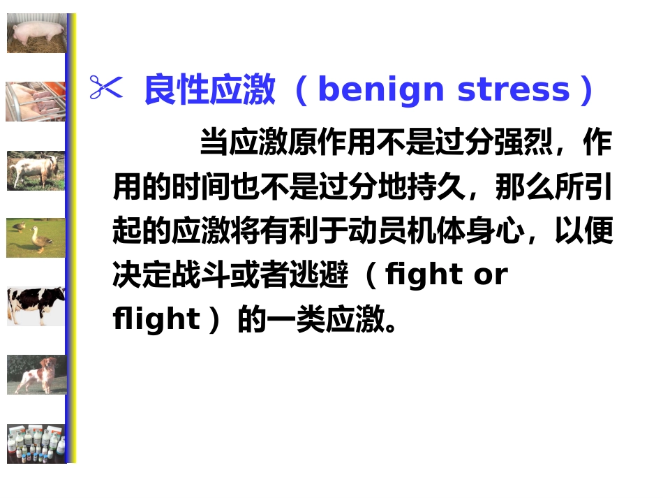 动物病理学 应激[专业相关]_第7页