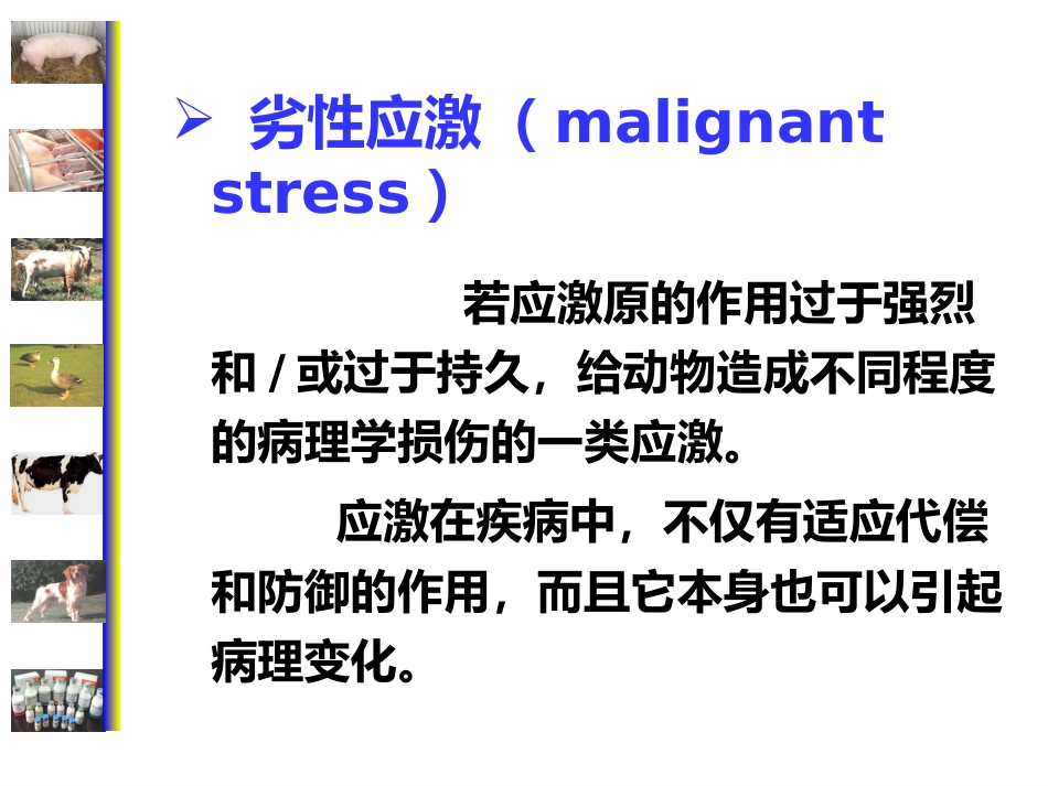 动物病理学 应激[专业相关]_第8页