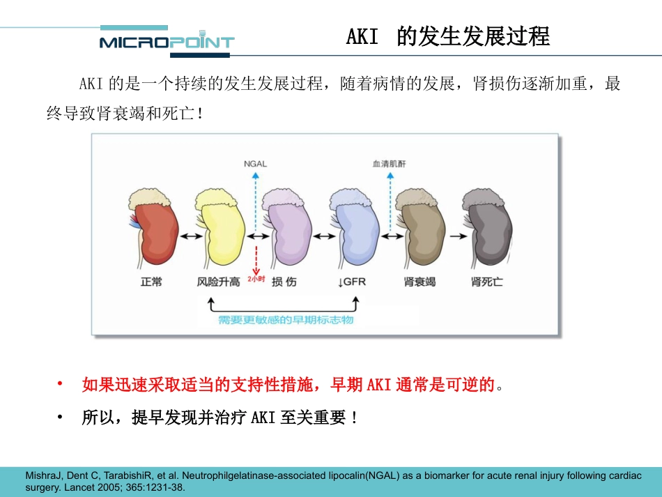 NGAL 临床应用介绍_第11页
