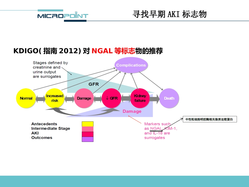 NGAL 临床应用介绍_第12页