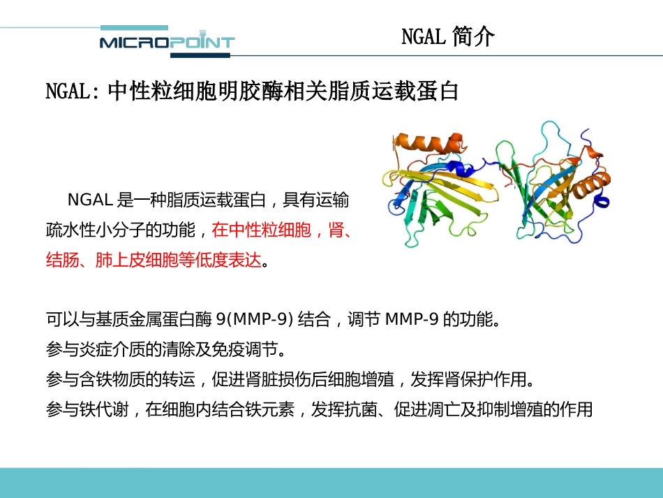 NGAL 临床应用介绍_第3页