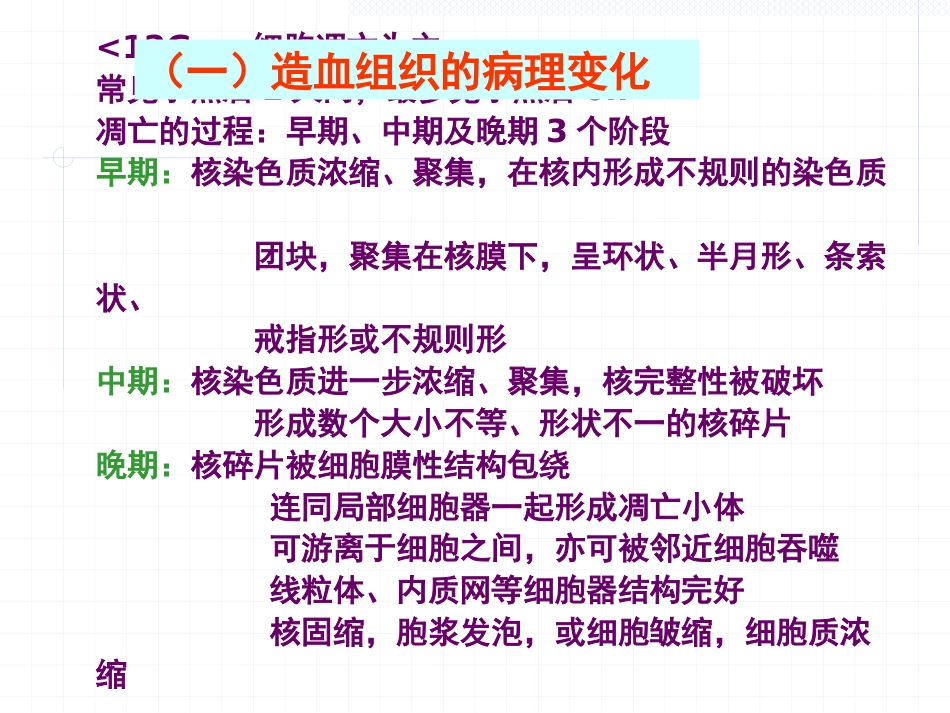 放射损伤病理学_第14页