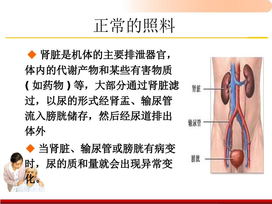 老年人排泄照料医学PPT_第12页