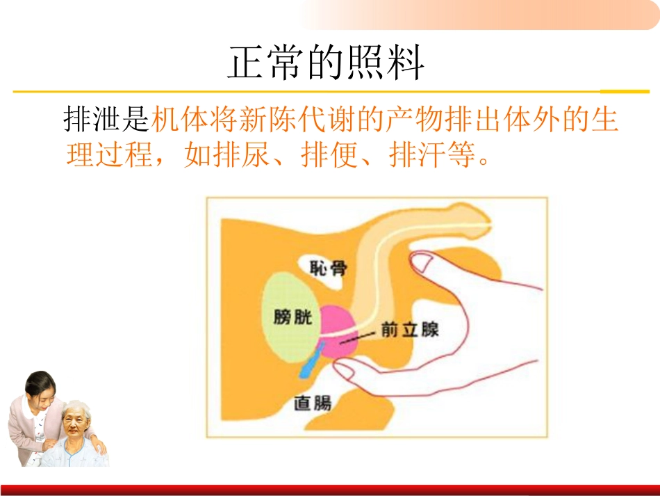 老年人排泄照料医学PPT_第3页