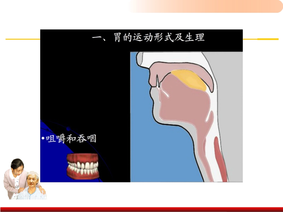 老年人排泄照料医学PPT_第5页