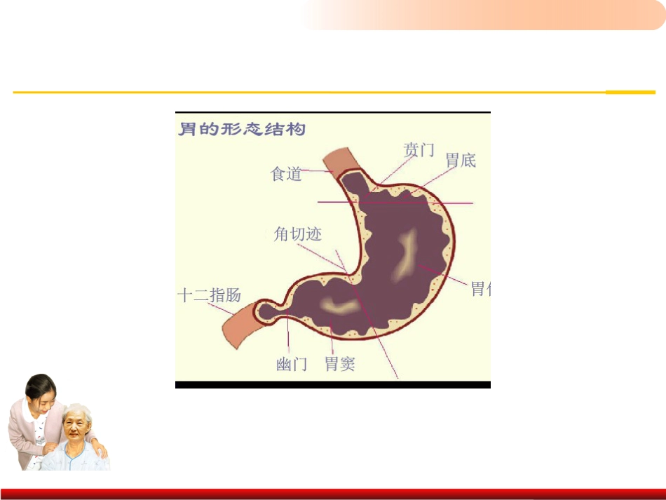 老年人排泄照料医学PPT_第7页