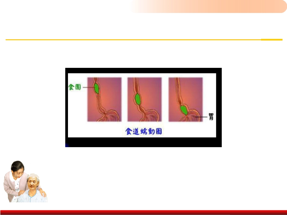 老年人排泄照料医学PPT_第8页