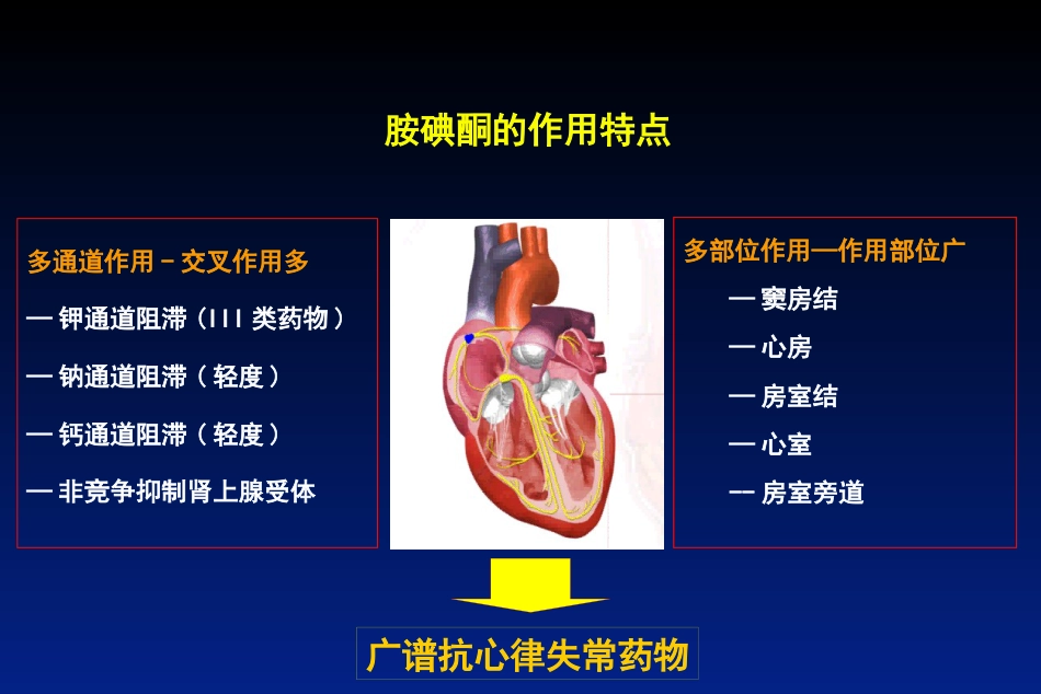 胺碘酮的临床应用(1)_第13页