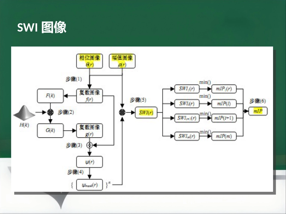 SWI的临床应用(1)_第7页
