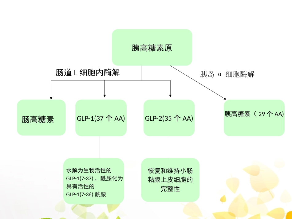 GLP-1的临床应用_第10页