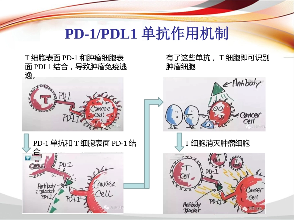 PD-1单抗临床应用归纳_第9页