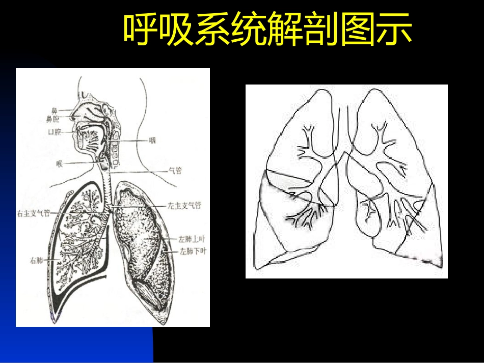 G5振动排痰机在临床中的应用_第8页