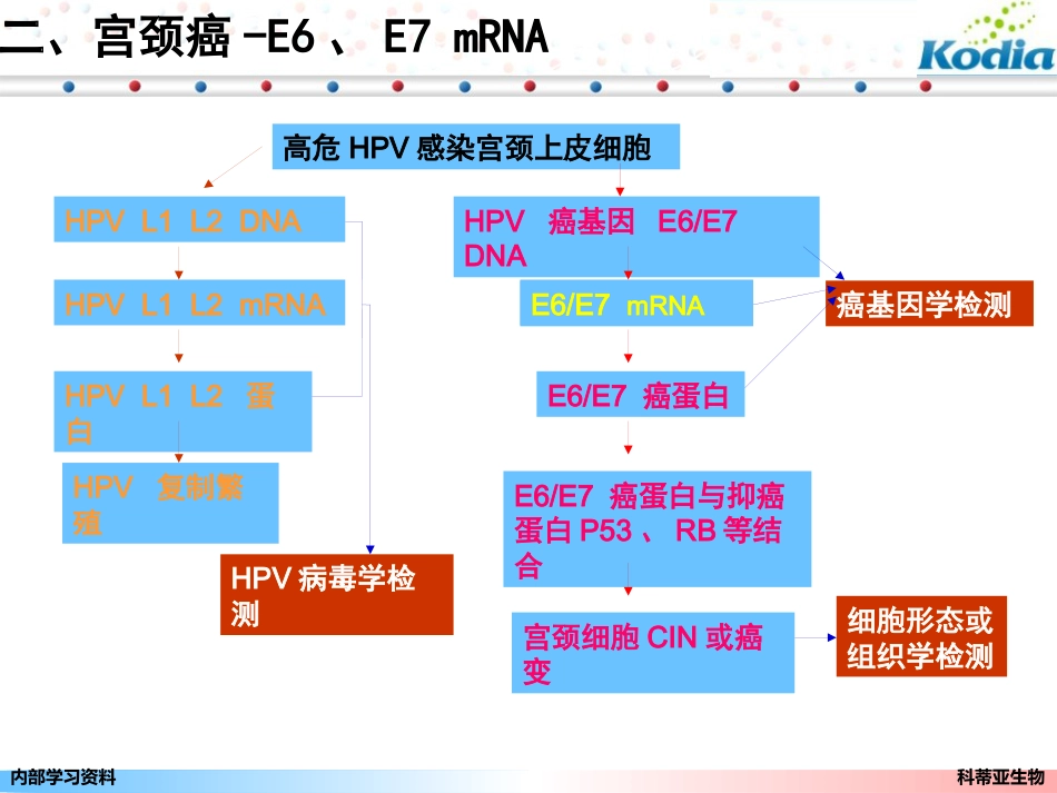 宫颈癌基因E6、E7mRNA检测_第11页
