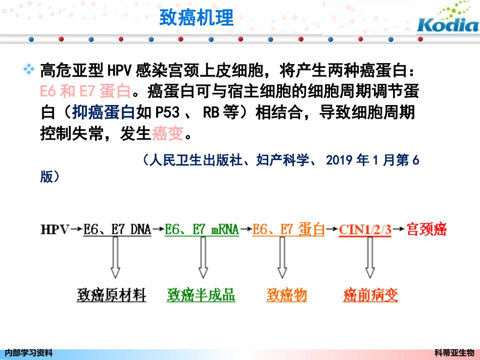 宫颈癌基因E6、E7mRNA检测_第6页