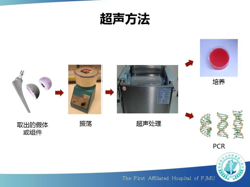 超声裂解联合 16S rRNA Real-time PCR 诊断人工关节感染_第13页