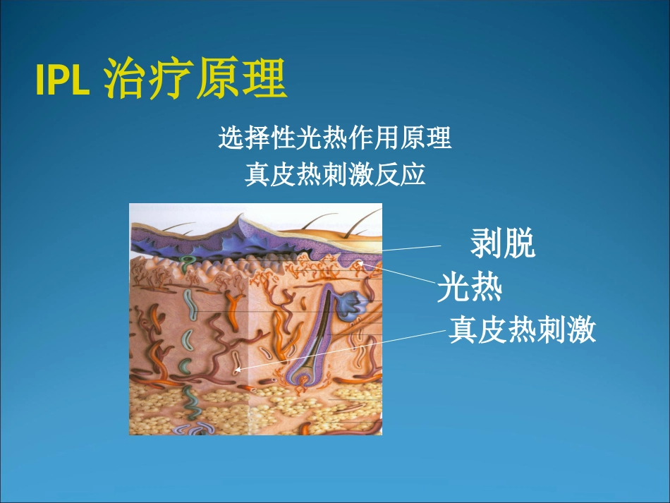 M22的临床应用_第5页
