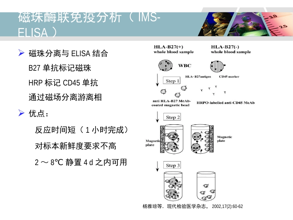 HLA-B27检测及其临床应用_第15页