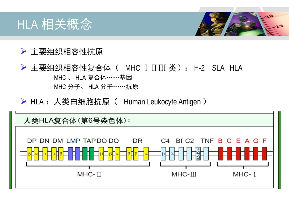 HLA-B27检测及其临床应用_第3页