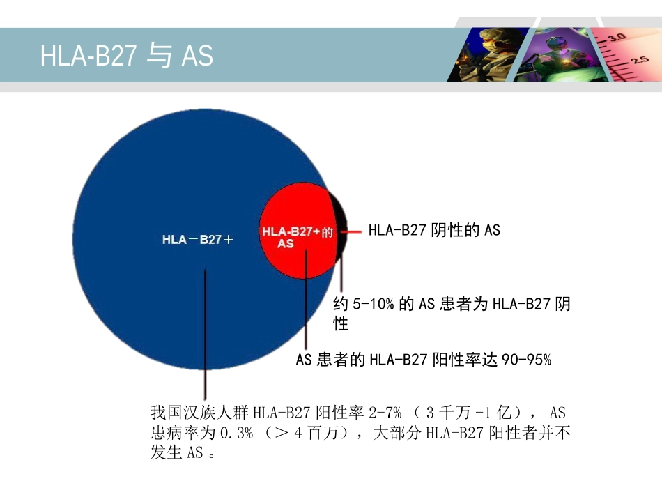 HLA-B27检测及其临床应用_第9页