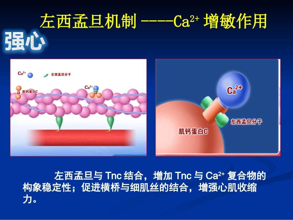 jn正性肌力药物新进展左西孟旦注射液临床应用ppt课件-69页PPT_第10页