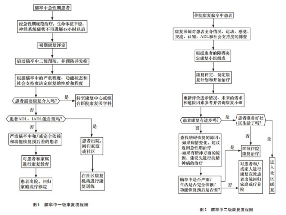 脑出血的一般治疗和康复治疗_第15页