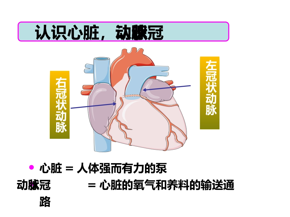呵护心肌梗死支架患者_第3页