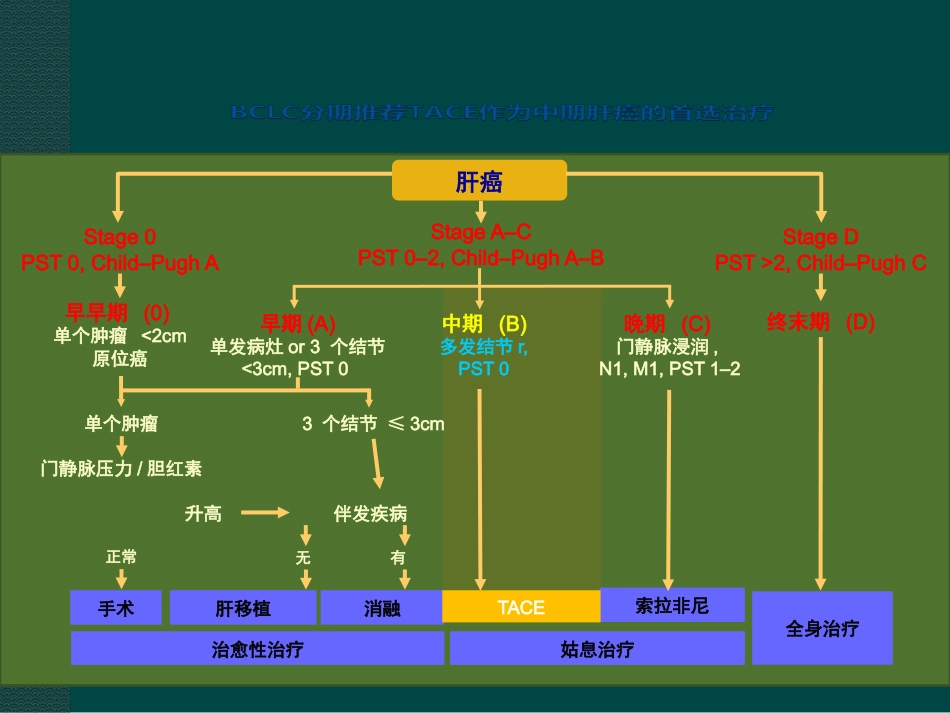 肝癌综合介入治疗进展ppt课件_第5页