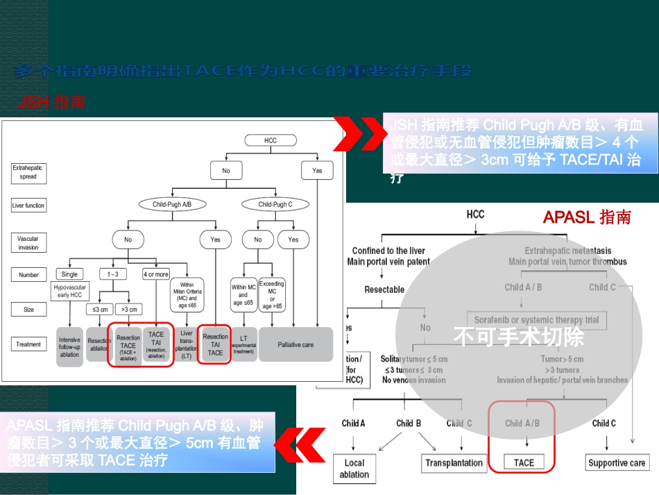 肝癌综合介入治疗进展ppt课件_第6页