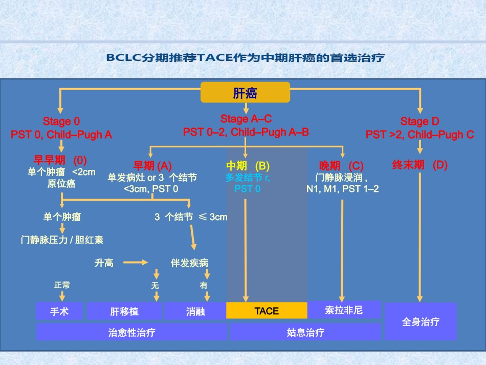 肝癌综合介入治疗进展_第5页