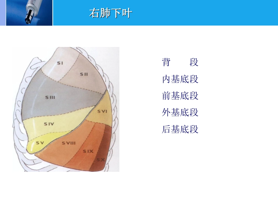 肿瘤科-肺癌-_第10页