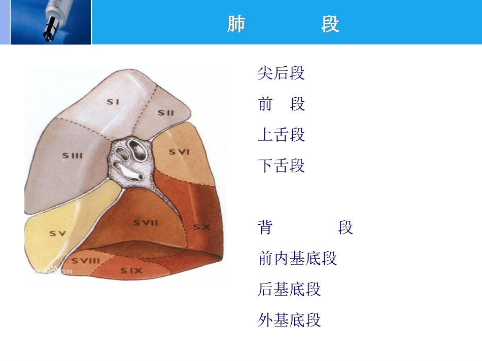 肿瘤科-肺癌-_第8页