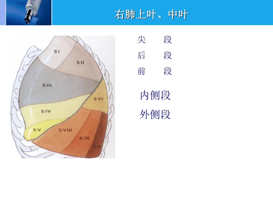 肿瘤科-肺癌-_第9页