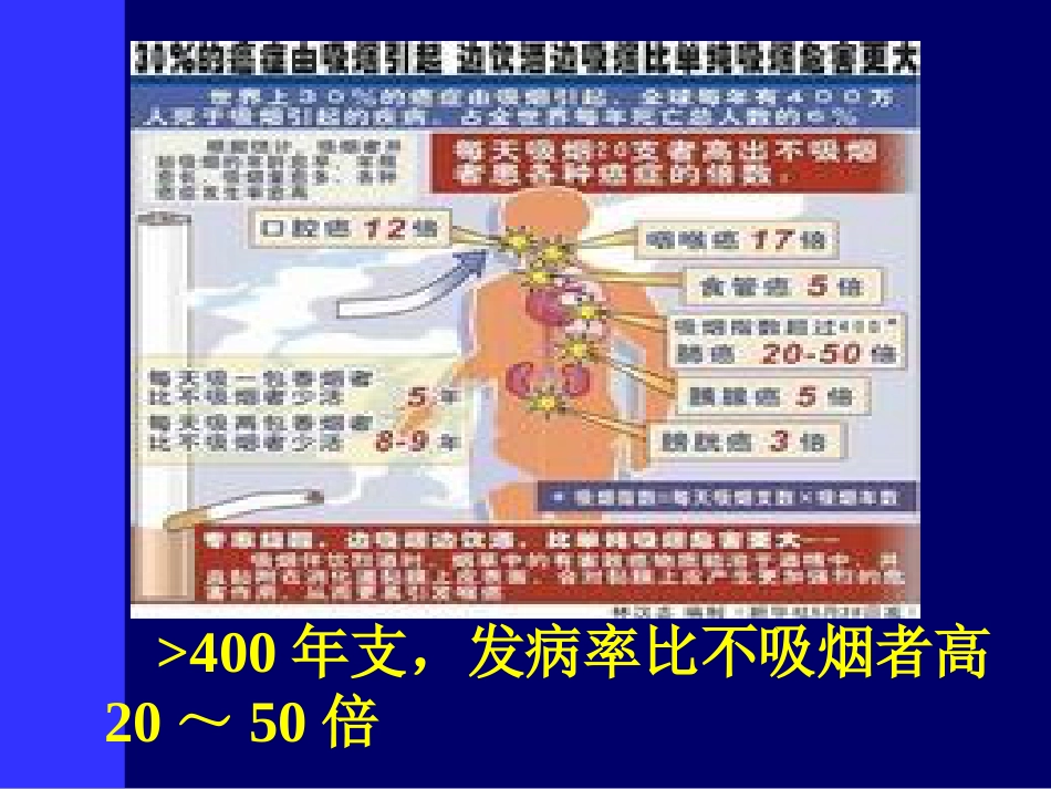 肿瘤科-肺癌(最新)_第11页