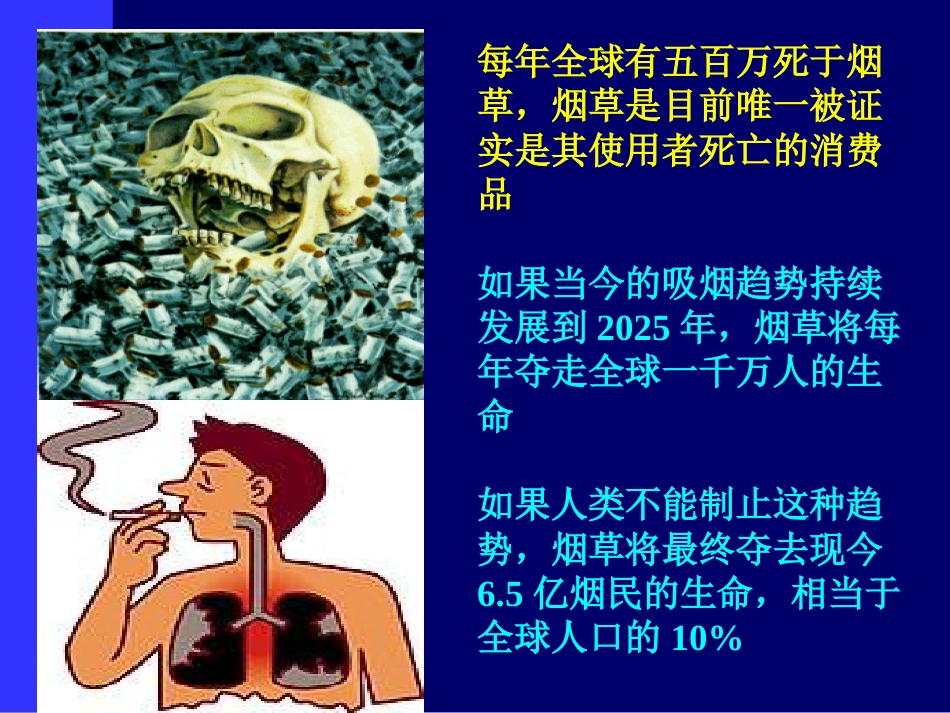 肿瘤科-肺癌(最新)_第13页