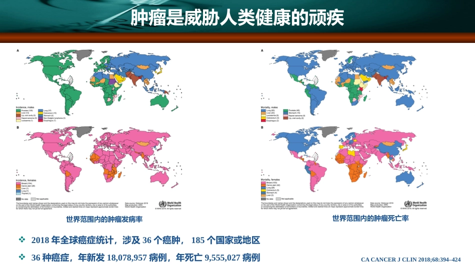 肝癌的介入治疗_第3页