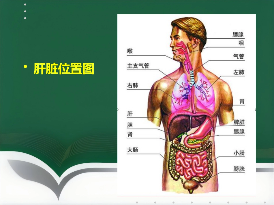 肝癌射频消融及介入治疗(1)_第2页